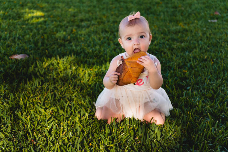 smash cake gemeas-10